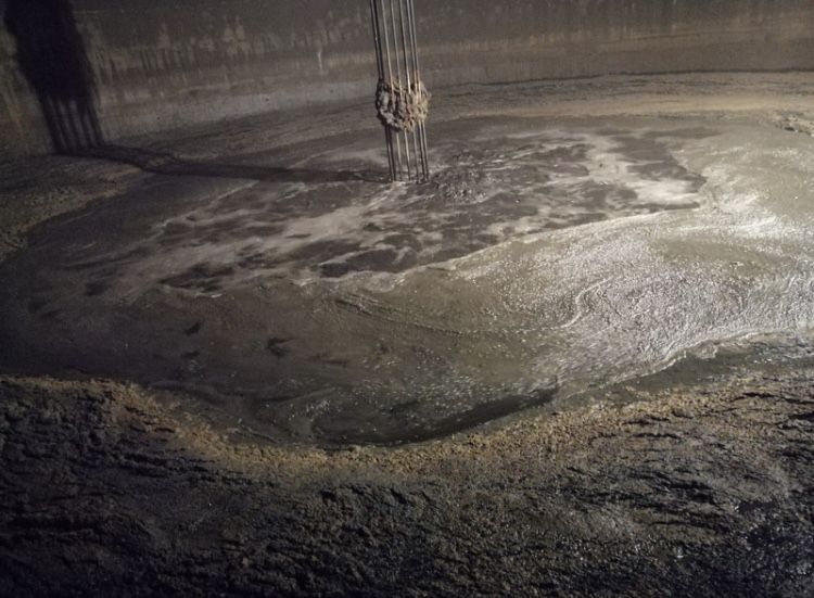 Cleaning Digester System» by Protech Continental